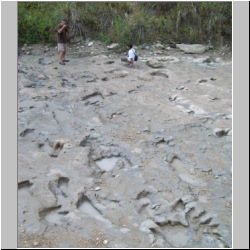 100_0742 (2009-27-07)m.jpg